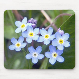 Forget Me Nots 2 Mousepad
