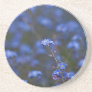 Forget-Me-Nots Coaster