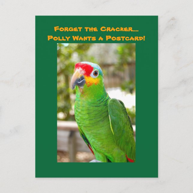 Forget the Cracker, Polly Wants a Postcard, Parrot Postcard (Front)