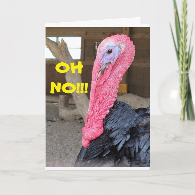 ****FORGET TURKEY**** FOR THANKSGIVING SAYS TURKEY HOLIDAY CARD (Front)