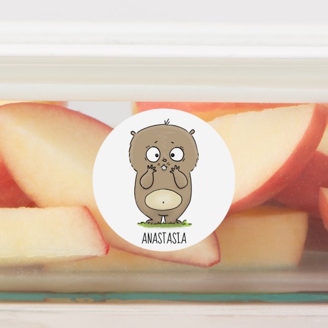 Forgetful adorable chubby hamster cartoon (Affixed)