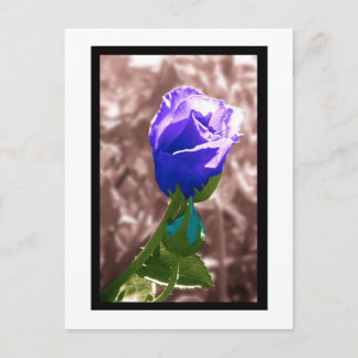 Forgetfulness Postcard