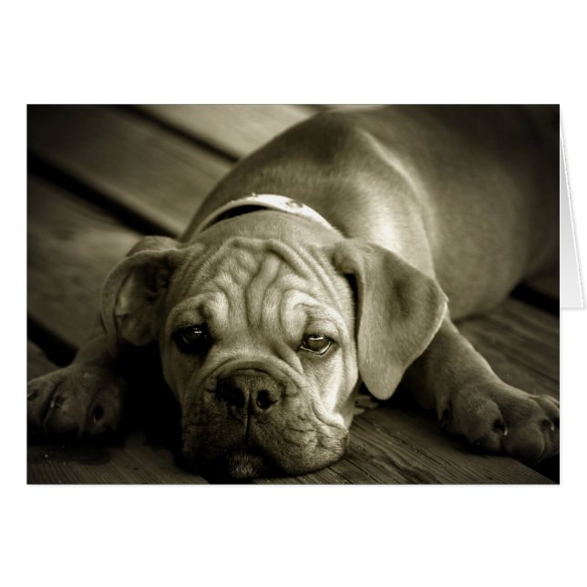 Forgive me (Front Horizontal)