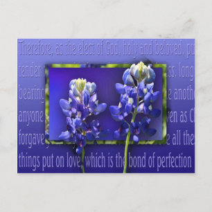 Forgive Me Postcard