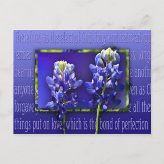 Forgive Me Postcard