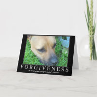 Forgiveness