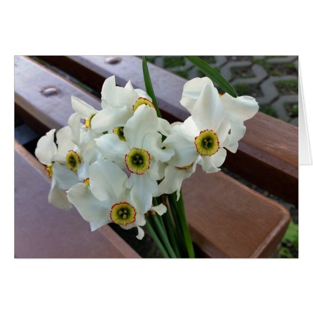 forgotten (Devant horizontal)