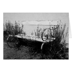 forgotten bench