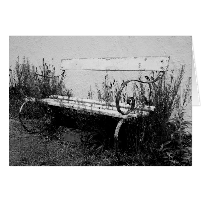 forgotten bench (Front Horizontal)