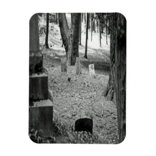 Forgotten Grave Magnet