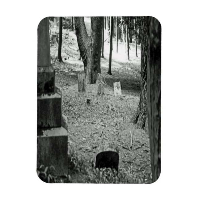 Forgotten Grave Magnet (Vertical)