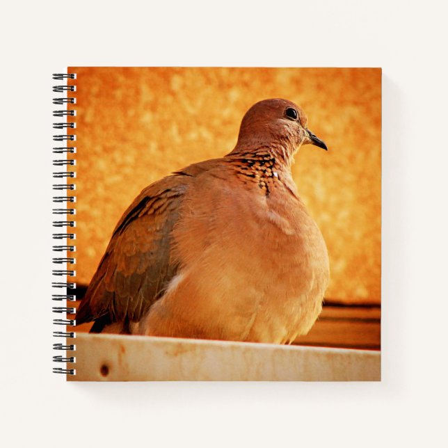 Forgotten Memories Notebook (Front)