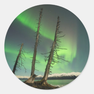 Forgotten Spruce Aurora Classic Round Sticker