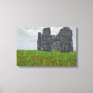 Forgotten Strife Canvas Print