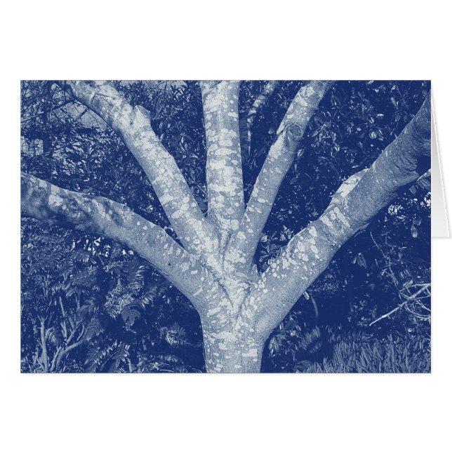 Forked Branches - Cyanotype Effect (Front Horizontal)