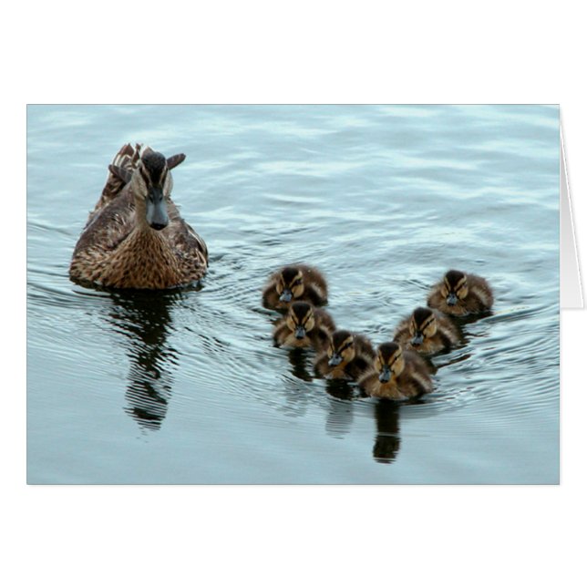 Formation de canard (Devant Horizontal)