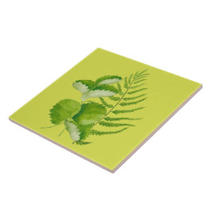 Forms in Green on a Ceramic Tile