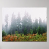 Forrest Fog Pine Arbres Valeur Poster Papier