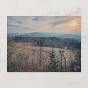 Forrest Gump Curve Postcard