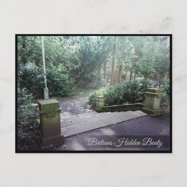 Forrested Staircase: Post Card (Front)