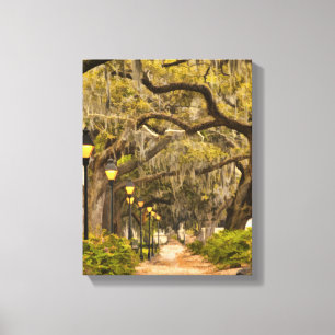 Forsyth Park - Photo, Savannah, Georgia (GA) USA Canvas Print