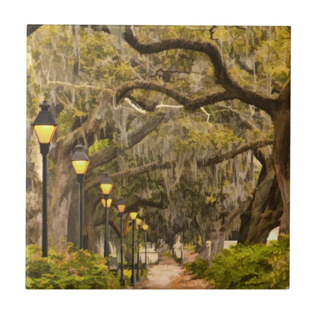 Forsyth Park - Photo, Savannah, Georgia (GA) USA Tile (Front)