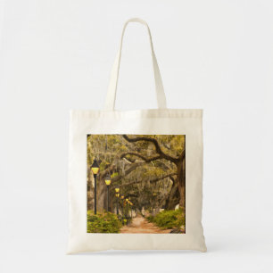 Forsyth Park - Photo, Savannah, Georgia (GA) USA Tote Bag