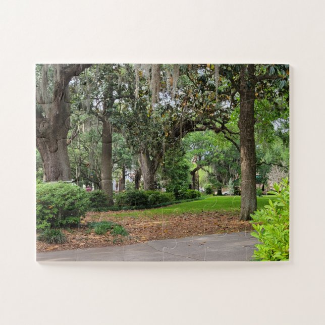 Forsyth Park, Savannah GA Jigsaw Puzzle (Horizontal)