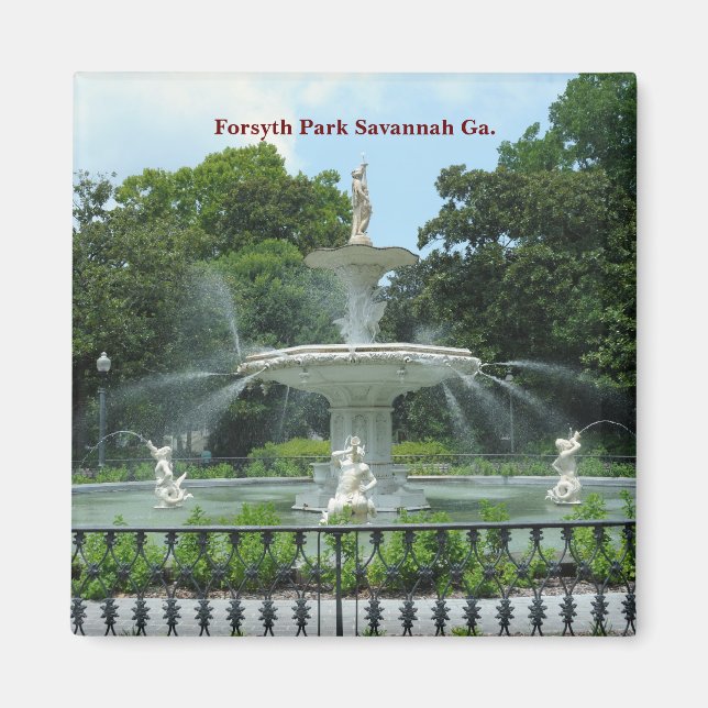 Forsyth Park Savannah Ga. Magnet (Front)