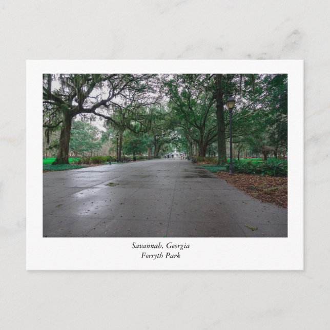 Forsyth Park Savannah Georgia Postcard (Front)
