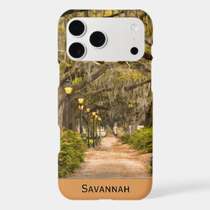 Forsyth Park, Savannah, Géorgie Photographie de vo