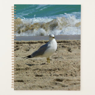 Fort Lauderdale, Florida Planner
