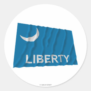 Fort Moultrie Flag Classic Round Sticker