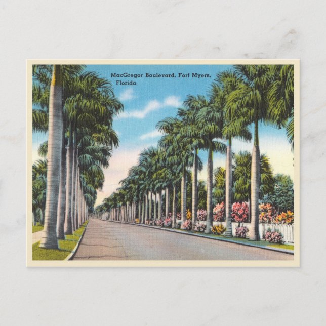 Fort Myers, Florida MacGregor Boulevard Postcard (Front)