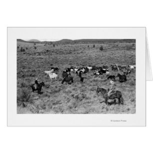 Fort Rock, Oregon Cowboy dans le Devil's Garden