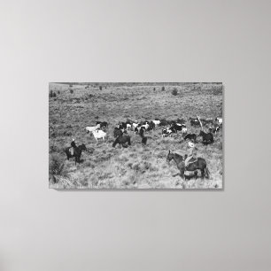 Fort Rock, Oregon Cowboy in the Devil's Garden Canvas Print