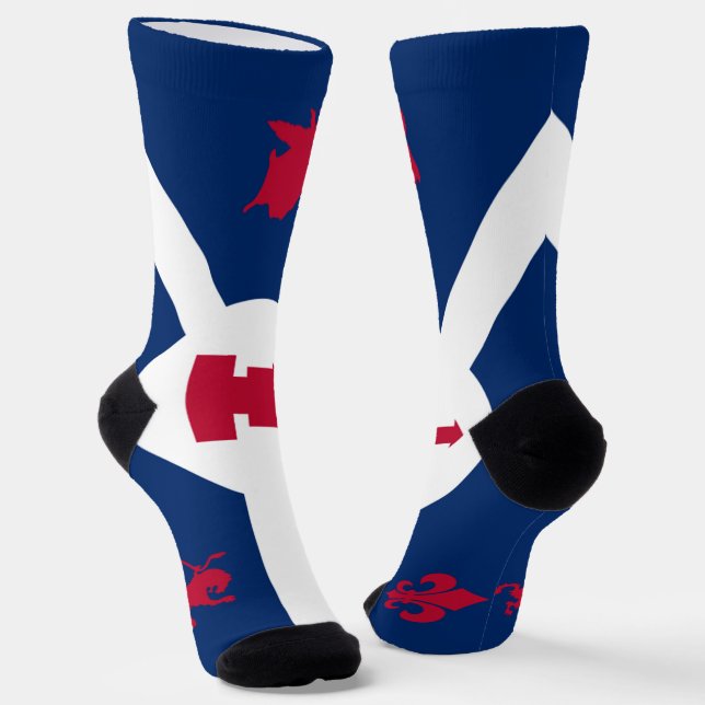 Fort Wayne (Indiana) city flag Socks (Angled)