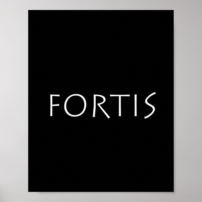 Fortis Poster (Front)