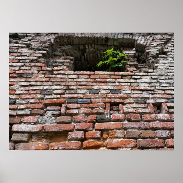 fortress wall window poster (Front)