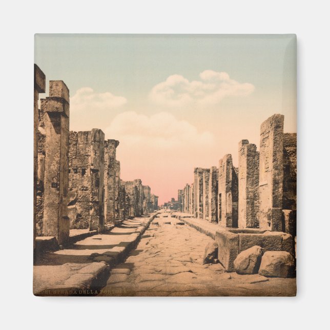 Fortuna Street, Pompeii, Campania, Italy Magnet (Front)