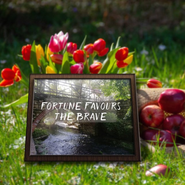 Fortune favours the brave proverb bridge  poster (Creator Uploaded)