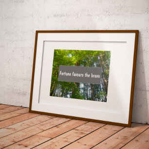 Fortune favours the brave proverb poster