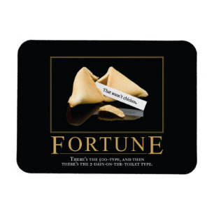 Fortune Motivational Parody Magnets