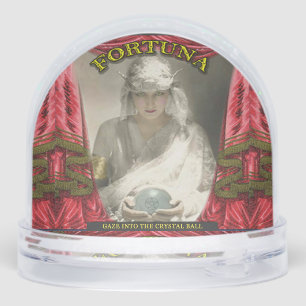 Fortune Teller Crystal Ball  Snowglobe