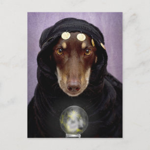 Fortune Teller Postcard