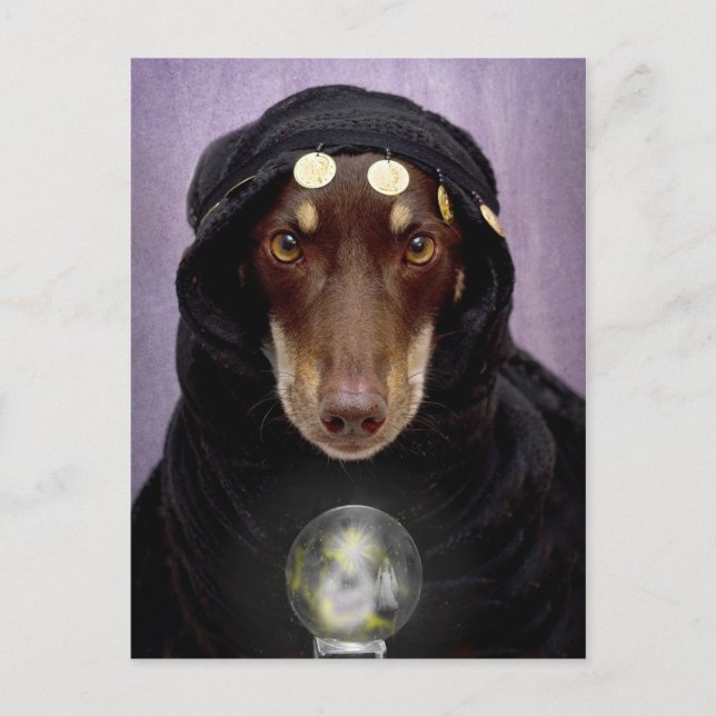 Fortune Teller Postcard (Front)