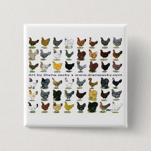 Forty-eight Hen Promo 2 Inch Square Button
