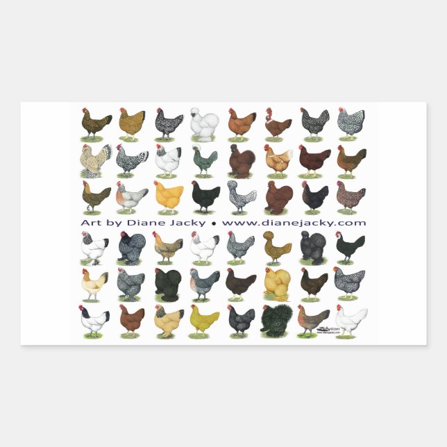 Forty-eight Hen Promo Sticker (Front)