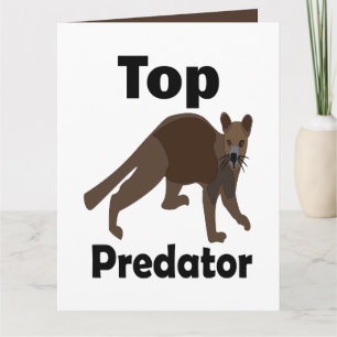 Fossa Madagascar Carnivore Top Predator Card