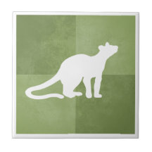 Fossa Madagascar endemic catlike carnivore green